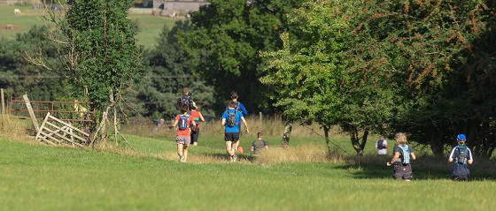 Runners in a field